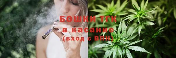 стаф Вязьма