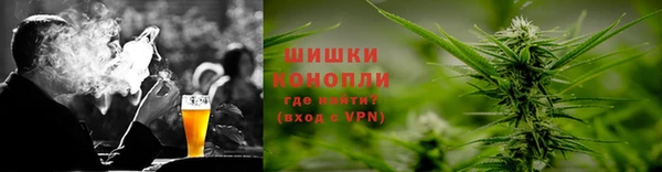 стаф Вязьма