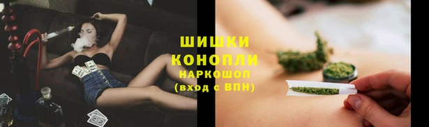 стаф Вязьма