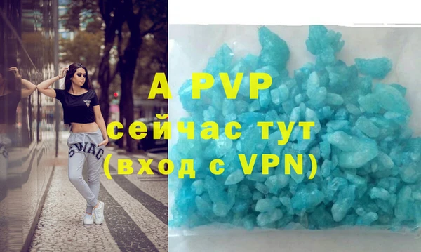 стаф Вязьма