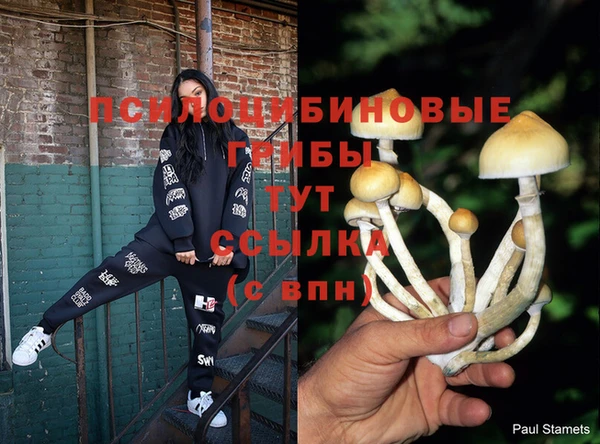 спайс Вязники