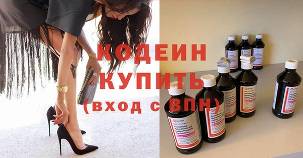 стаф Вязьма