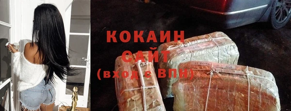 стаф Вязьма