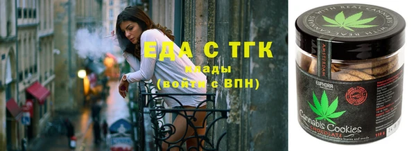 стаф Вязьма