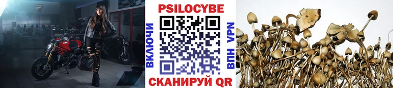 Галлюциногенные грибы прущие грибы Меленки