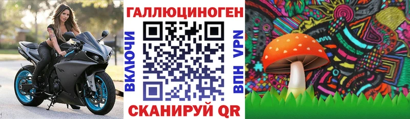 Галлюциногенные грибы Psilocybe Меленки